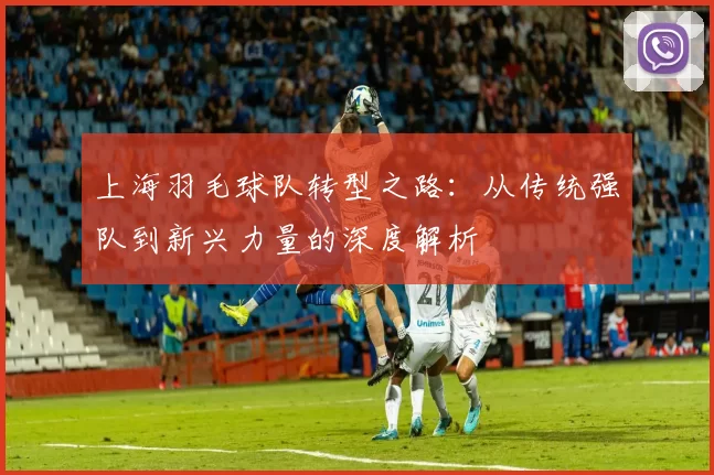 上海羽毛球队转型之路：从传统强队到新兴力量的深度解析