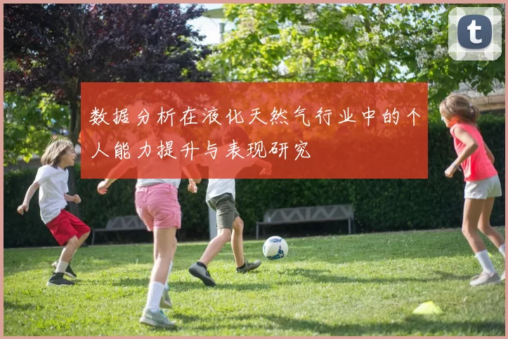 数据分析在液化天然气行业中的个人能力提升与表现研究