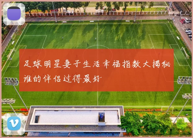 足球明星妻子生活幸福指数大揭秘谁的伴侣过得最好