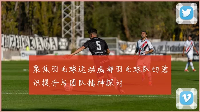 聚焦羽毛球运动成都羽毛球队的意识提升与团队精神探讨