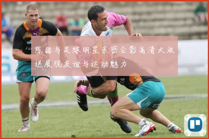 陈赫与足球明星亲密合影高清大放送展现友谊与运动魅力