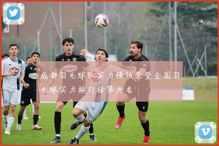 成都羽毛球队实力强劲荣登全国羽毛球实力排行榜第九名